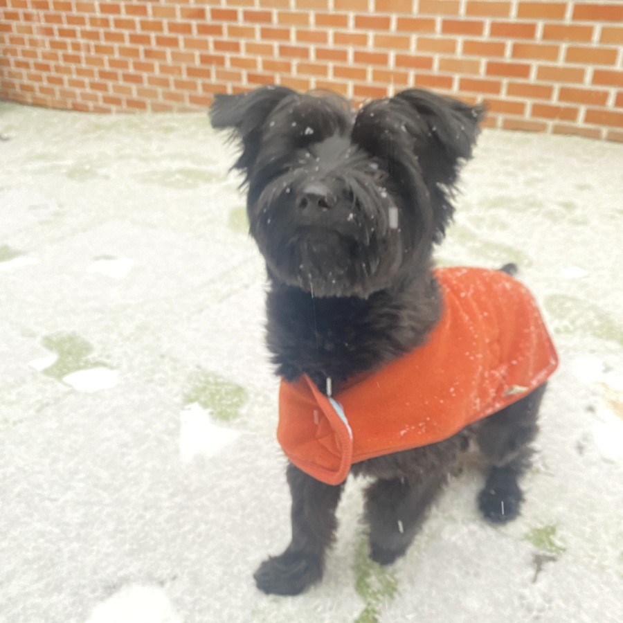 댄과 함께한 1년 :)