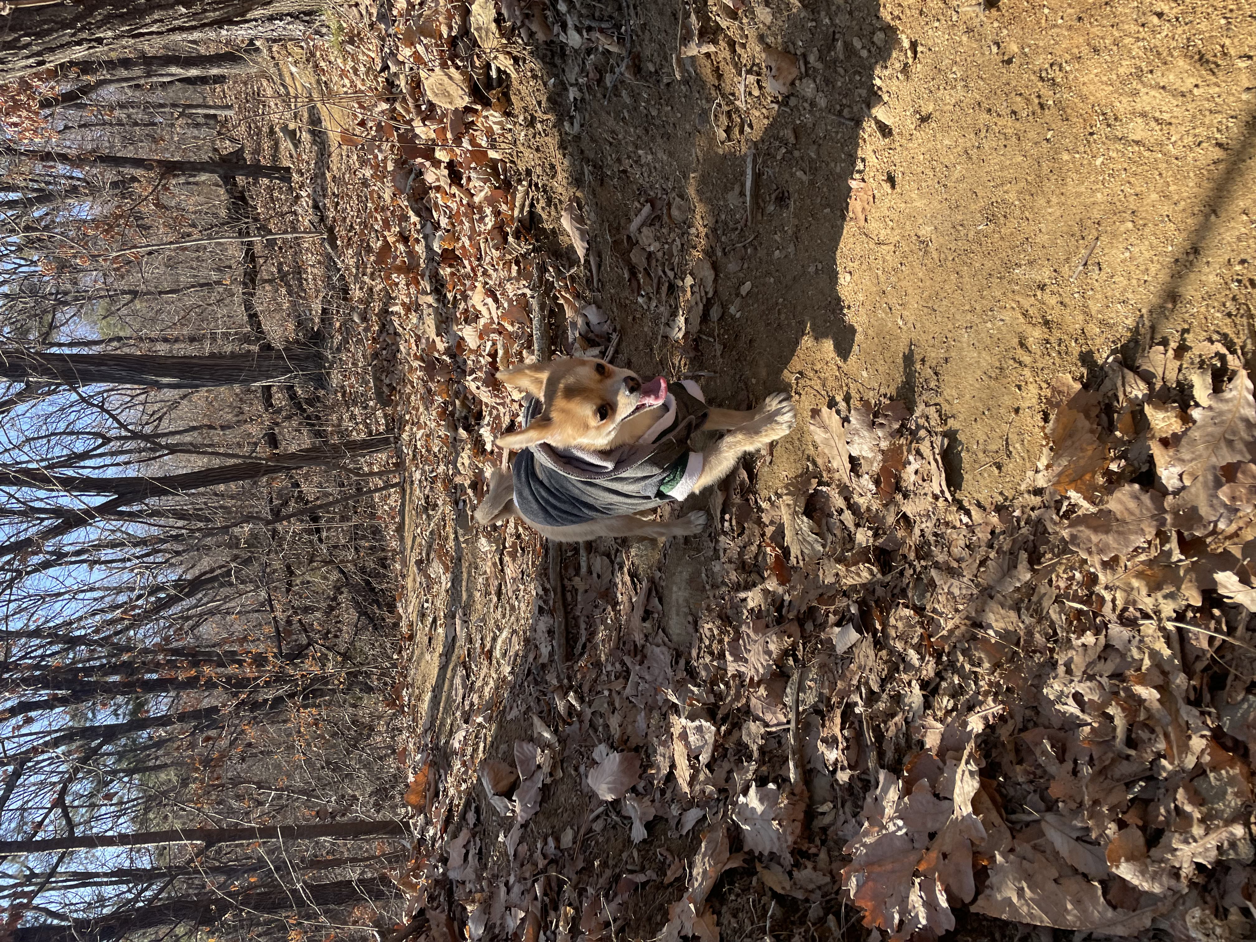 미로(구 오원) 6개월 이야기