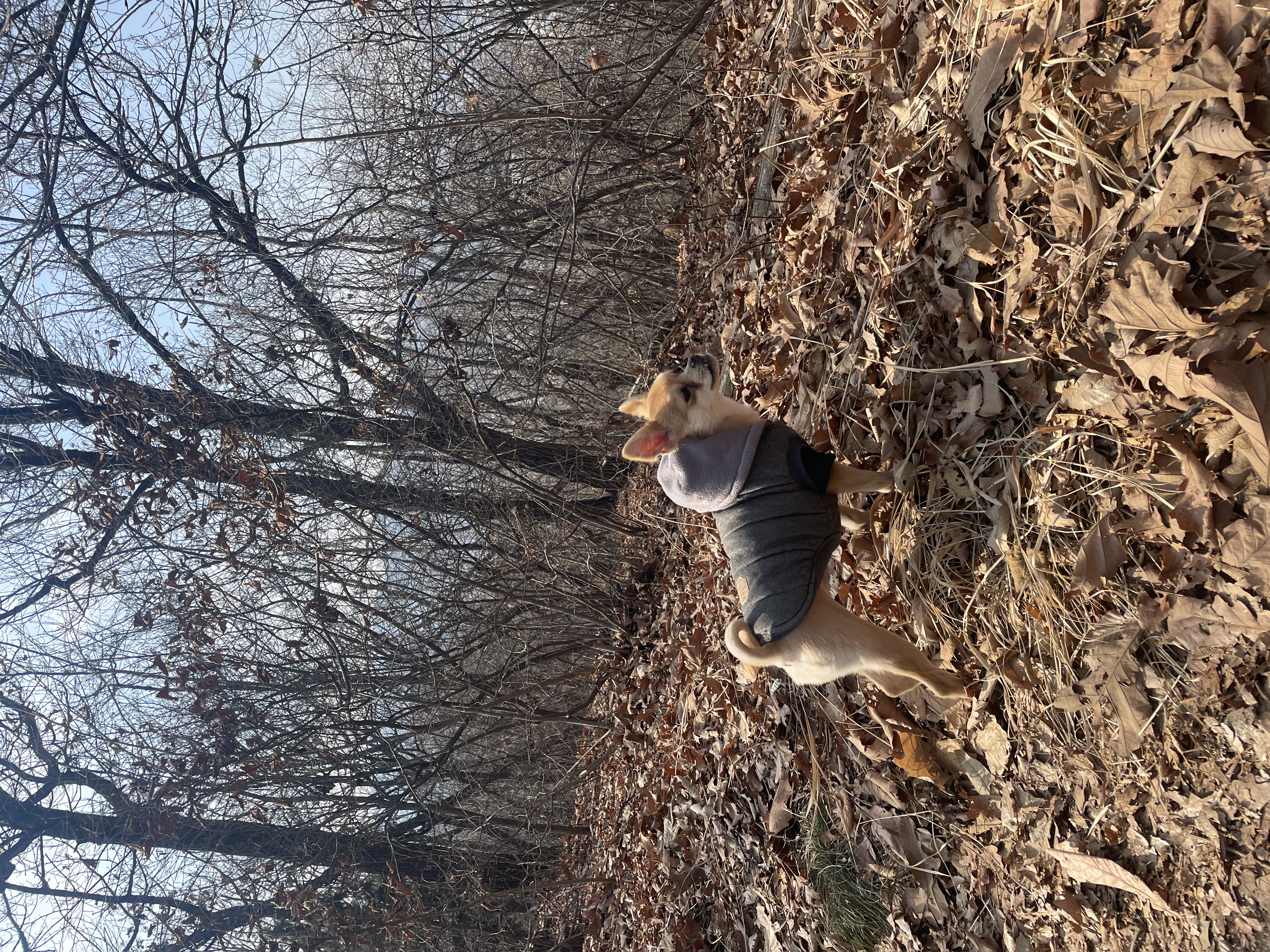 미로(구 오원) 6개월 이야기