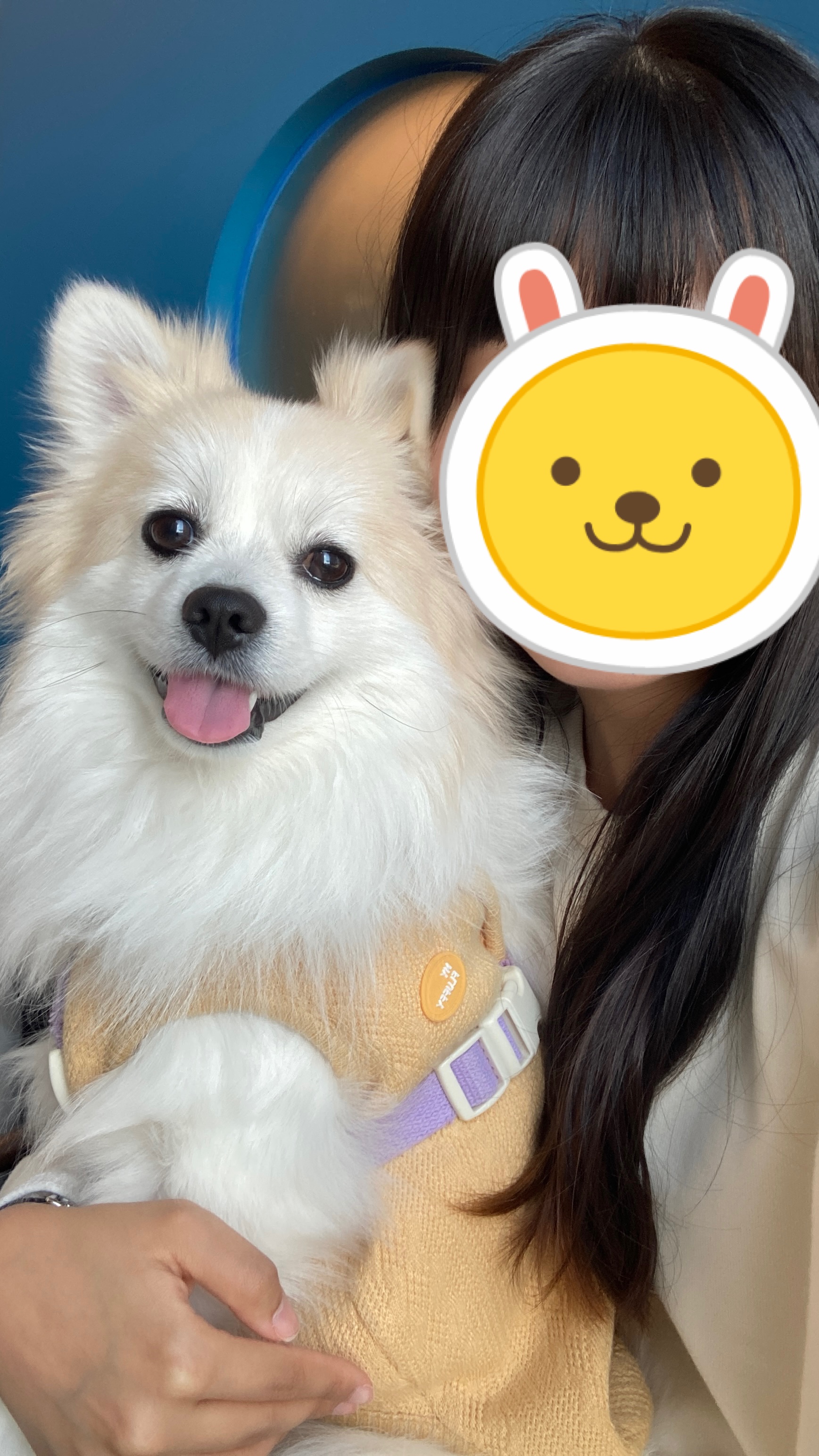 뽀또(마일이) 근황~