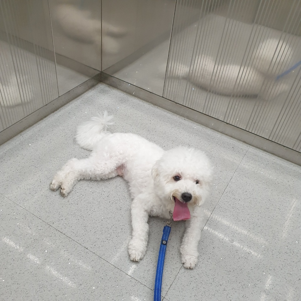 곤지암 겨울이 (하이) 2주년, 잘 지내고 있어요 