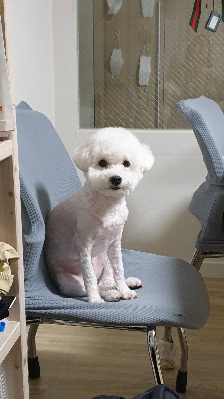 곤지암 겨울이 (하이) 2주년, 잘 지내고 있어요 