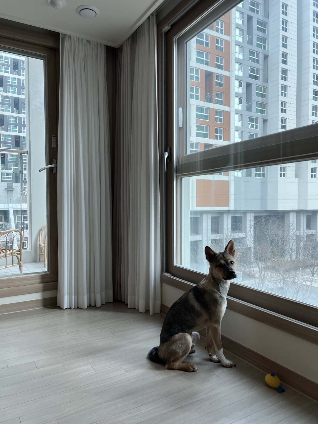 (구,강식) 테오의 넉달 가족일기