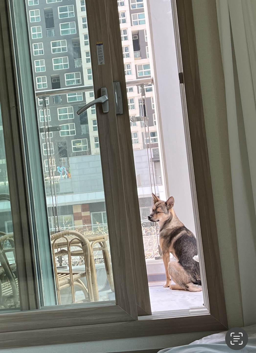 (구,강식) 테오의 넉달 가족일기