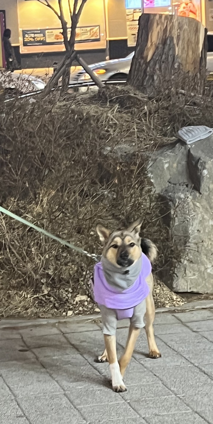 (구,강식) 테오의 넉달 가족일기