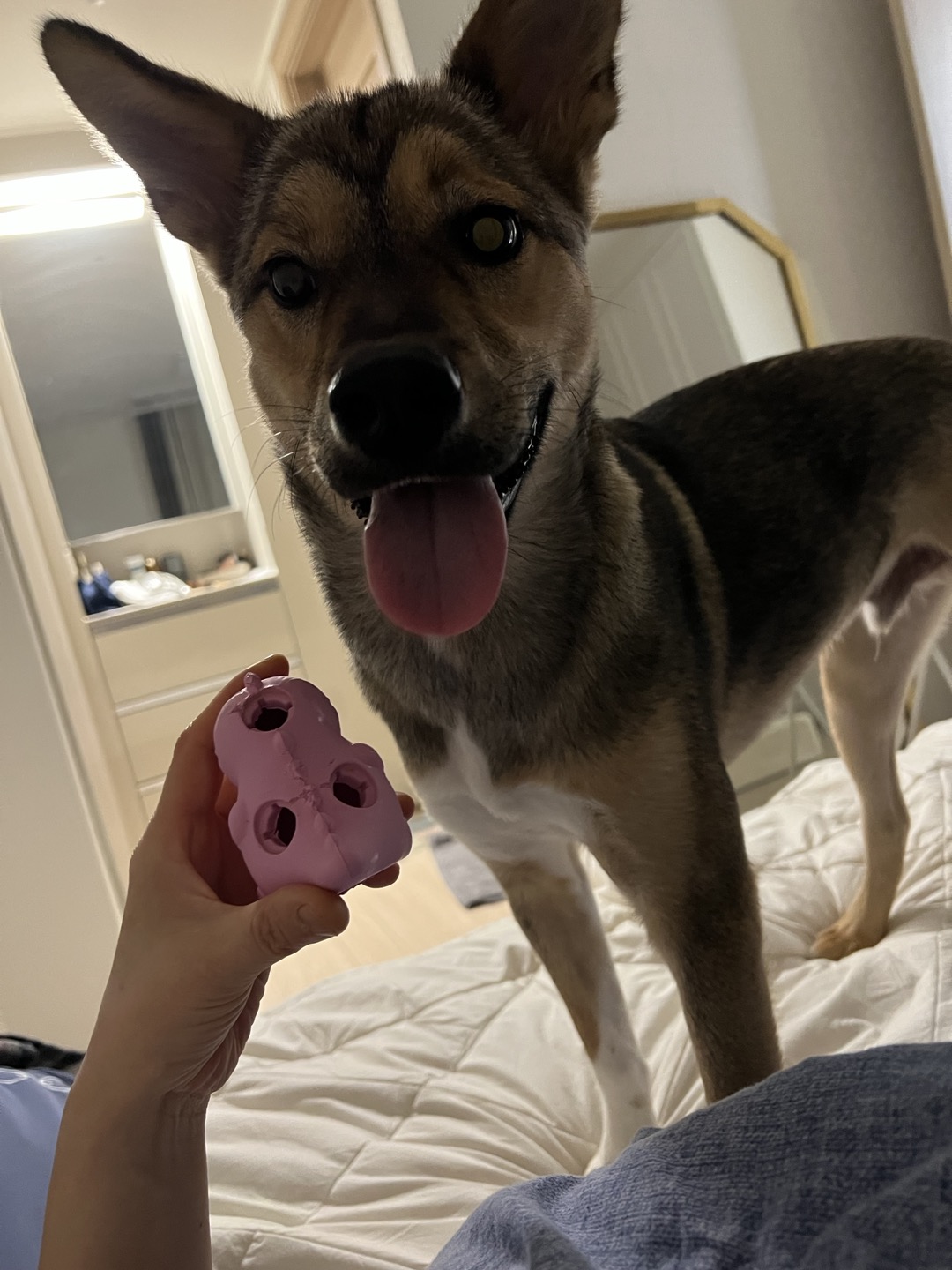 (구,강식) 테오의 넉달 가족일기