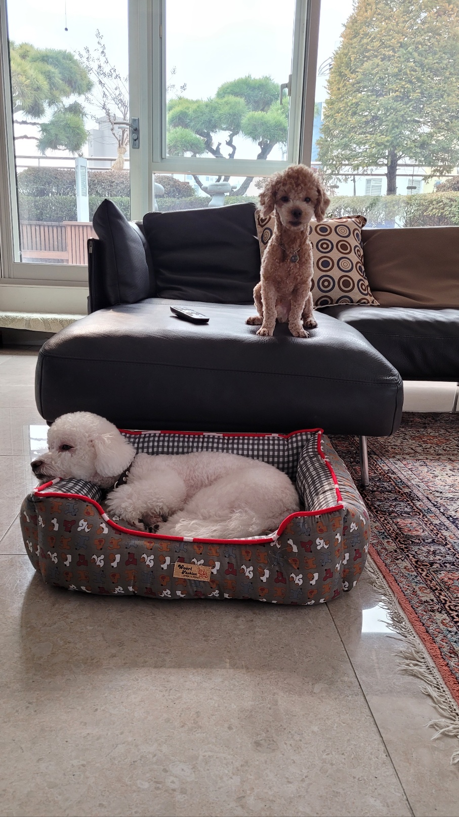 해리입양 7일차 이야기에요~