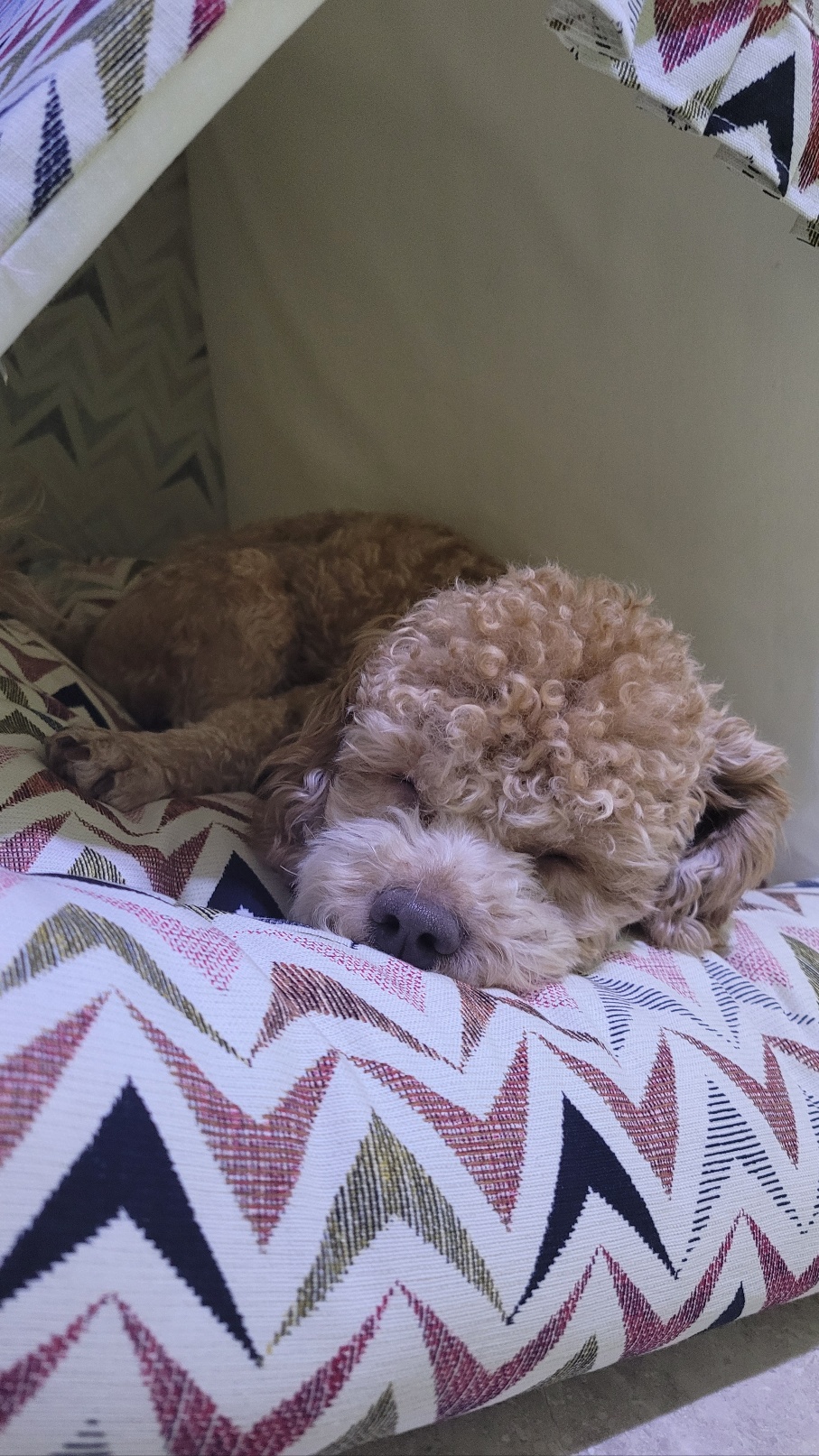 해리입양 7일차 이야기에요~