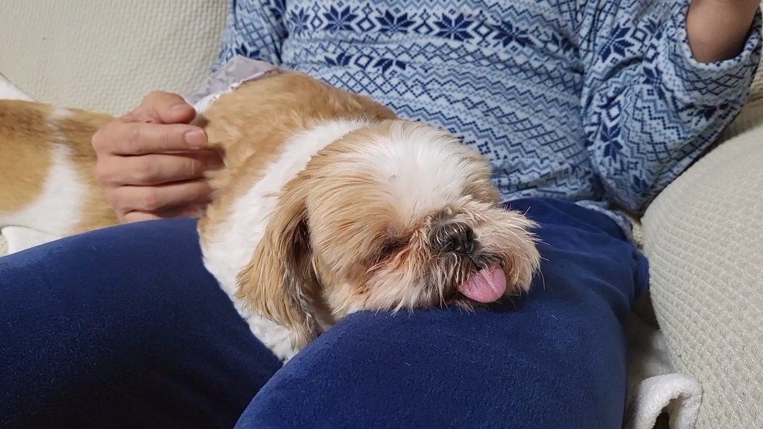 율무, 수수(춘식이) 딱 일주일 됐네요