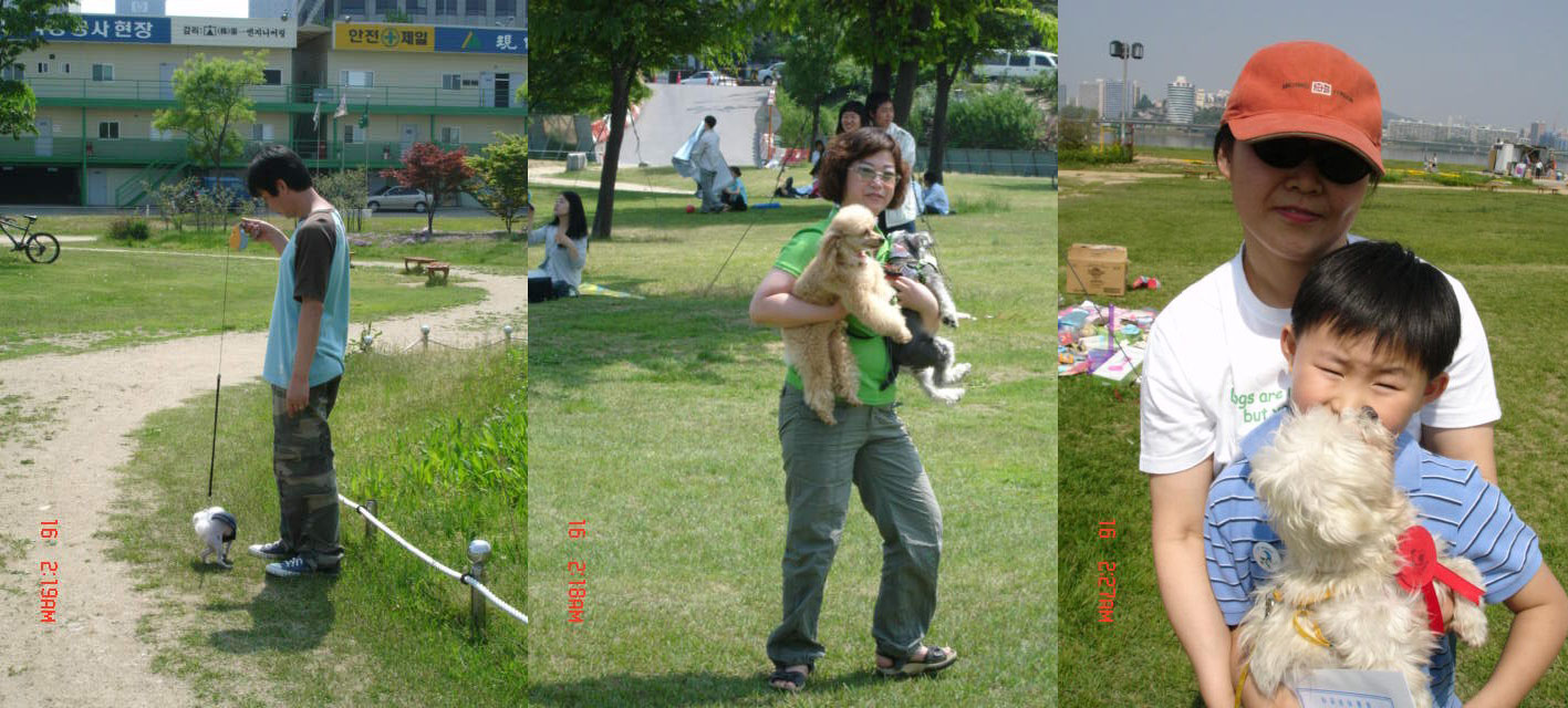 [사진]2005년 입양동물과의 만남