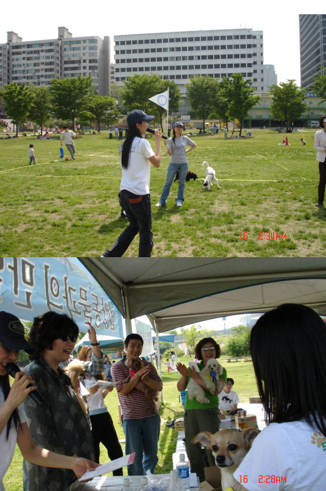 [사진]2005년 입양동물과의 만남
