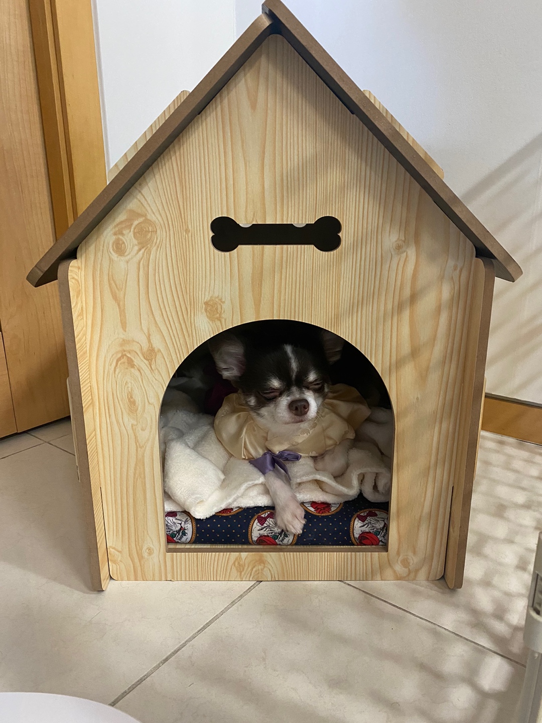 오즈 네티 잘있어요