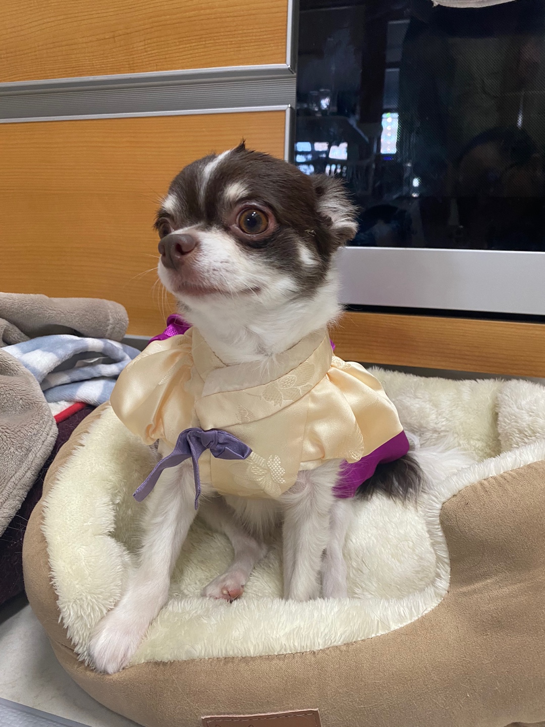 오즈 네티 잘있어요