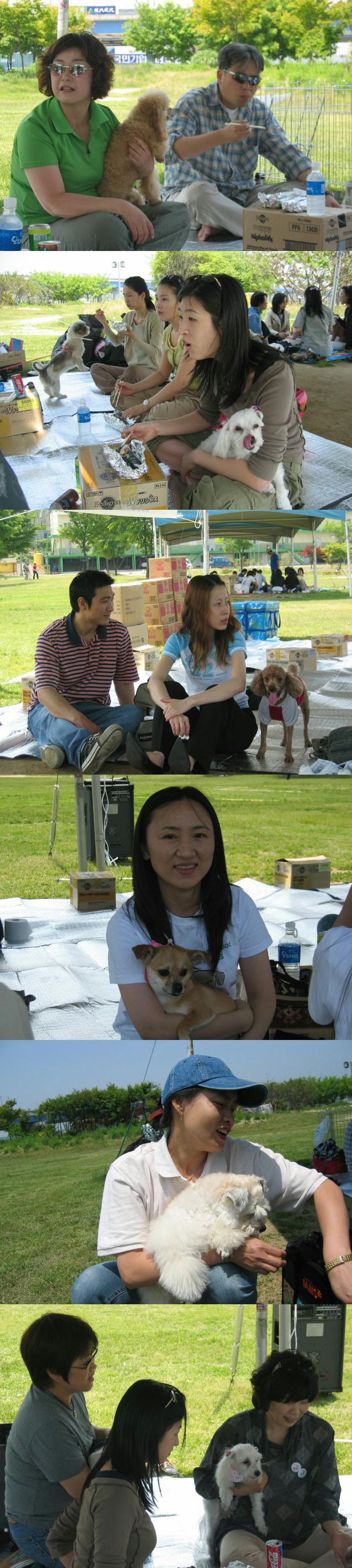[사진]2005년 입양동물과의 만남