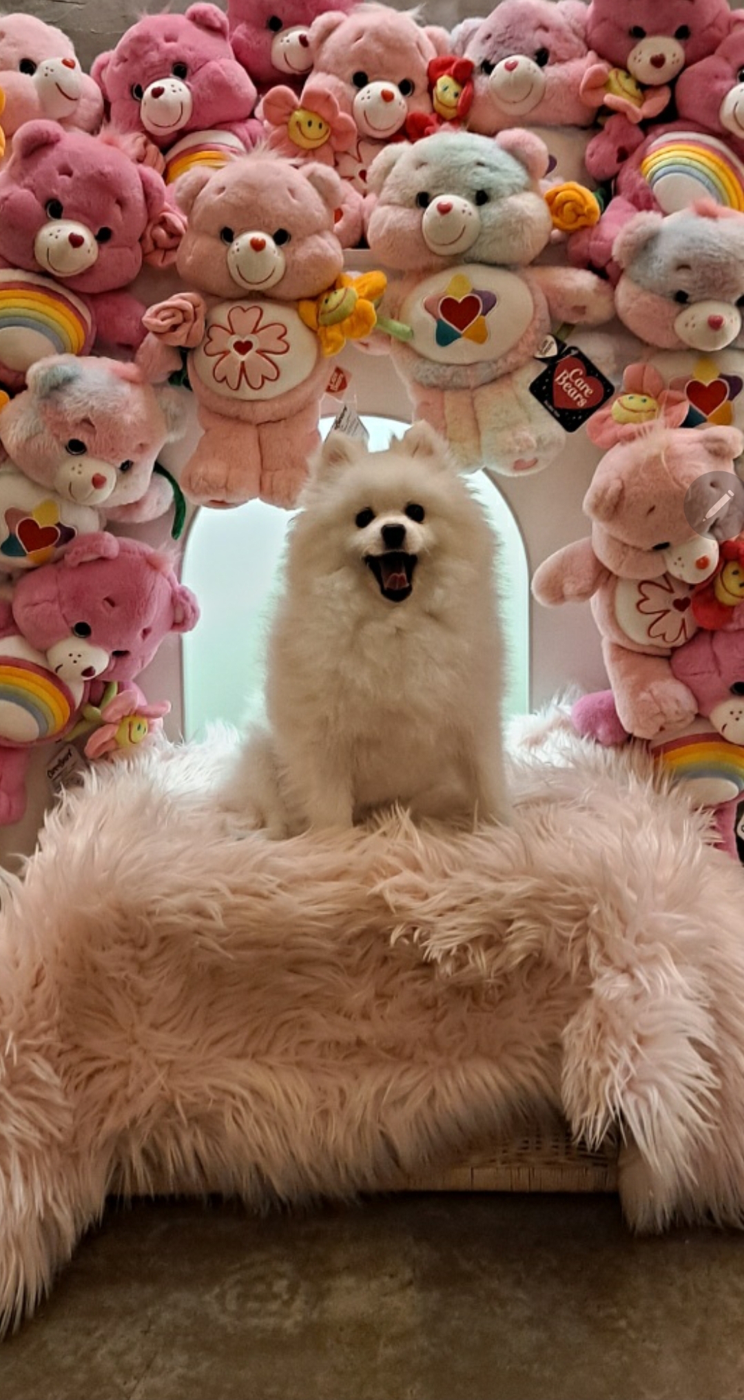 만두(아라)와 1년후기