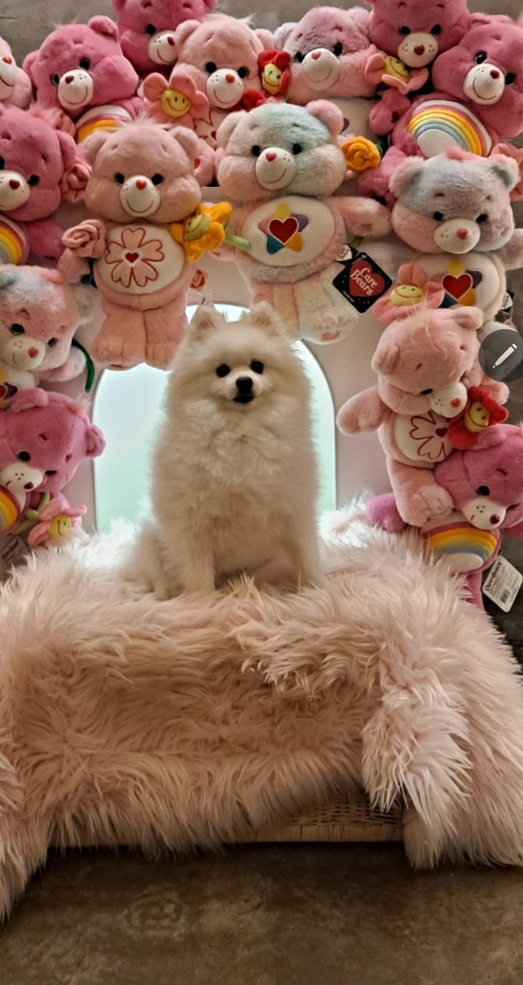 만두(아라)와 1년후기