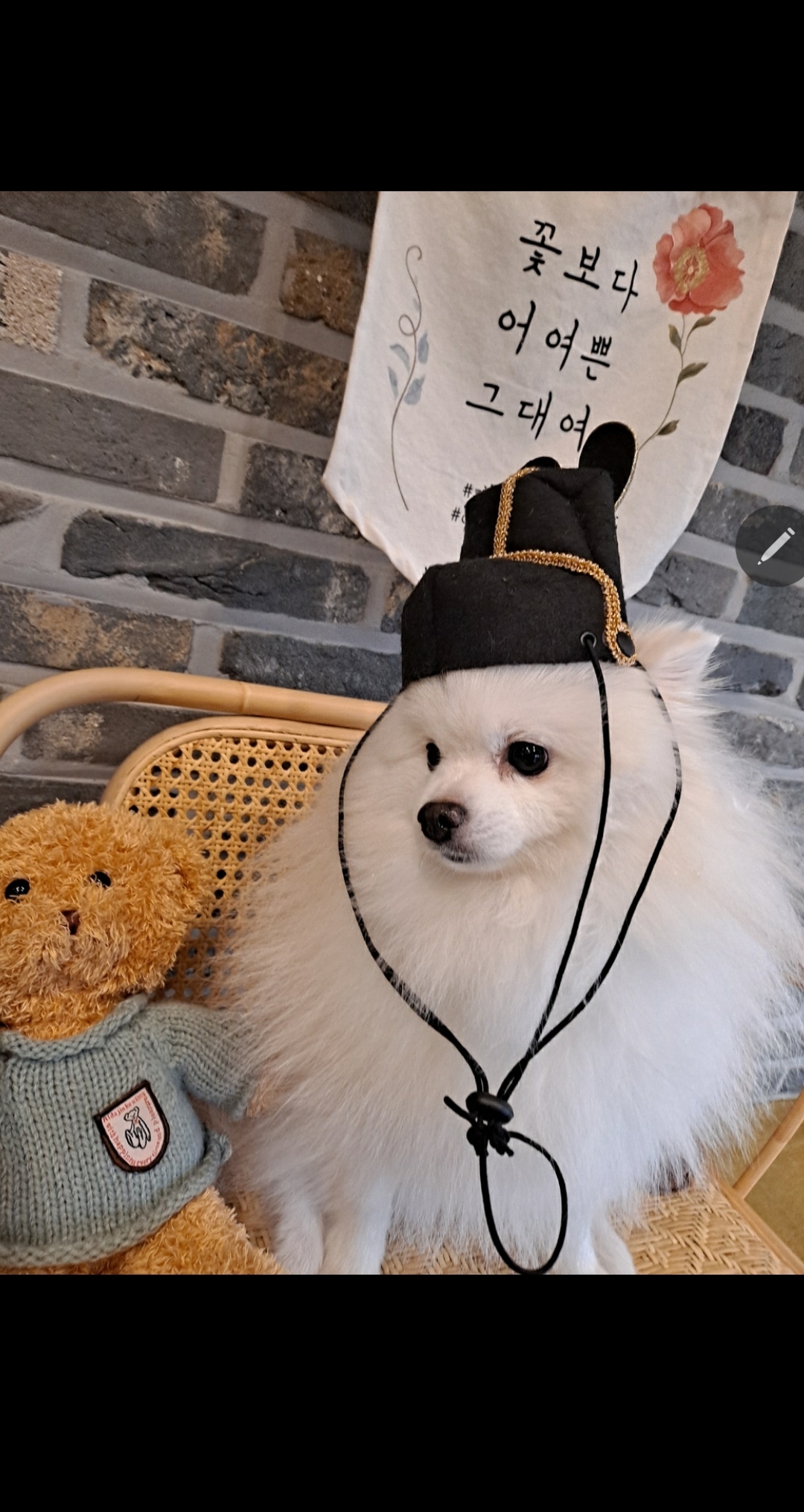 만두(아라)와 1년후기