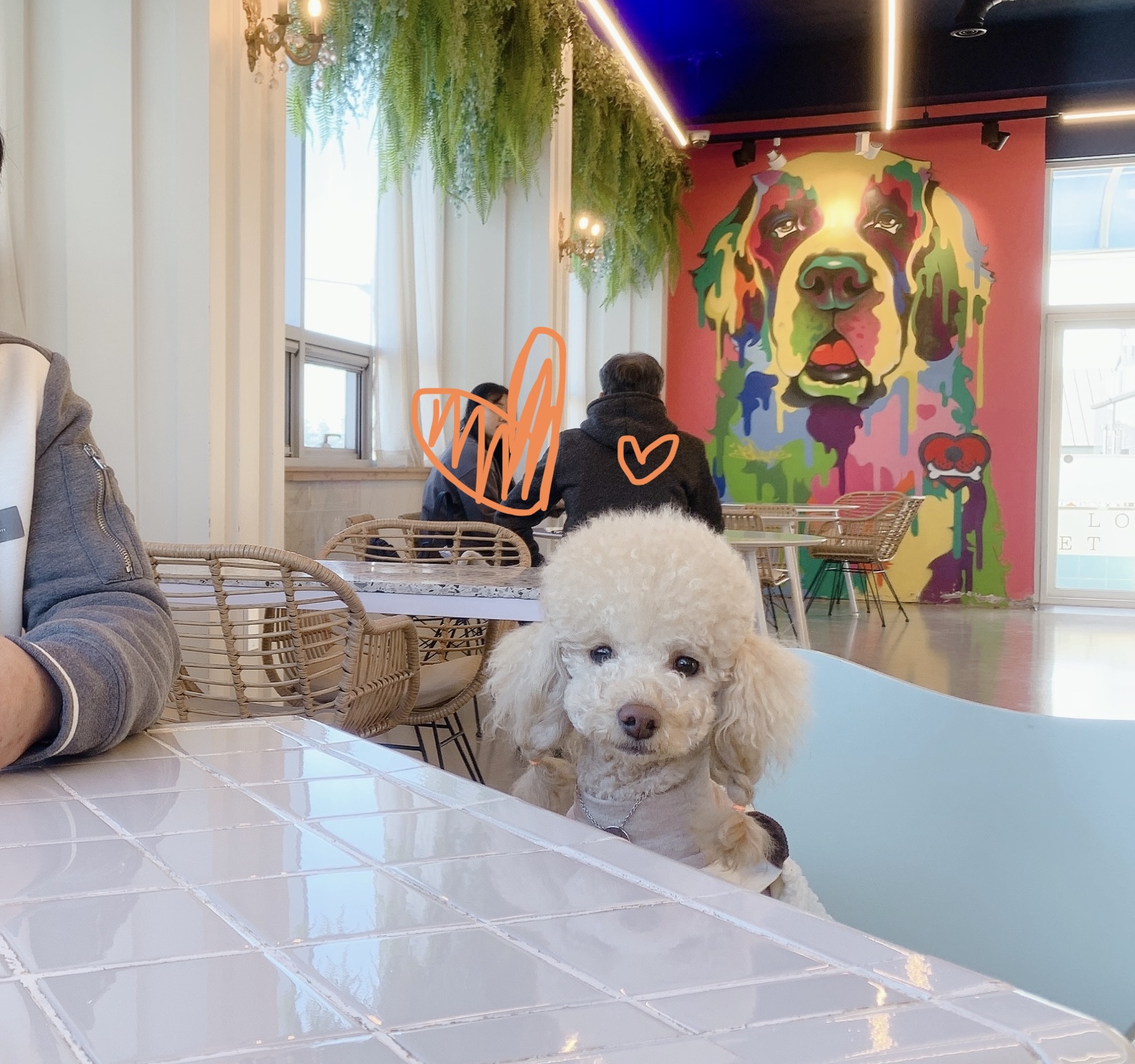 우리 초이랑 함께한 2년!!(곤지암-해삼)