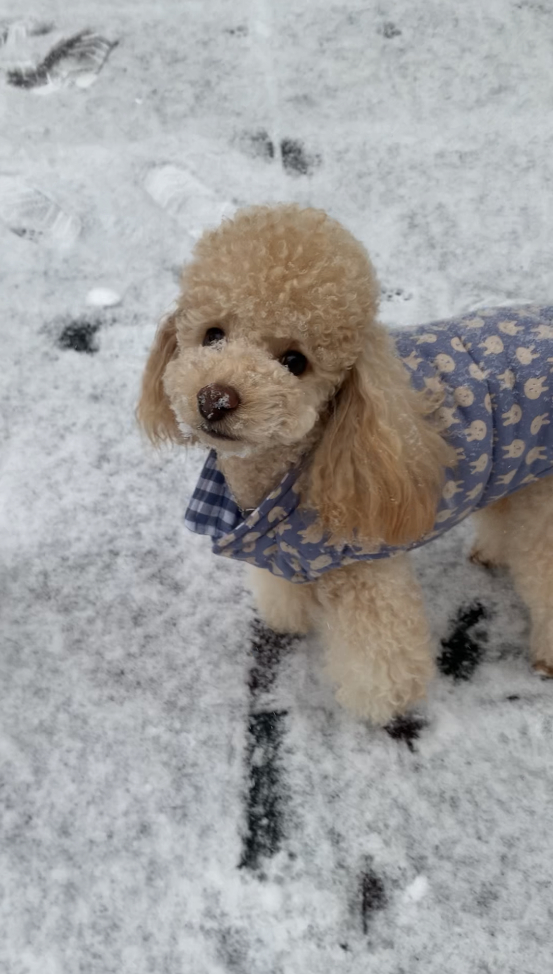 우리 초이랑 함께한 2년!!(곤지암-해삼)