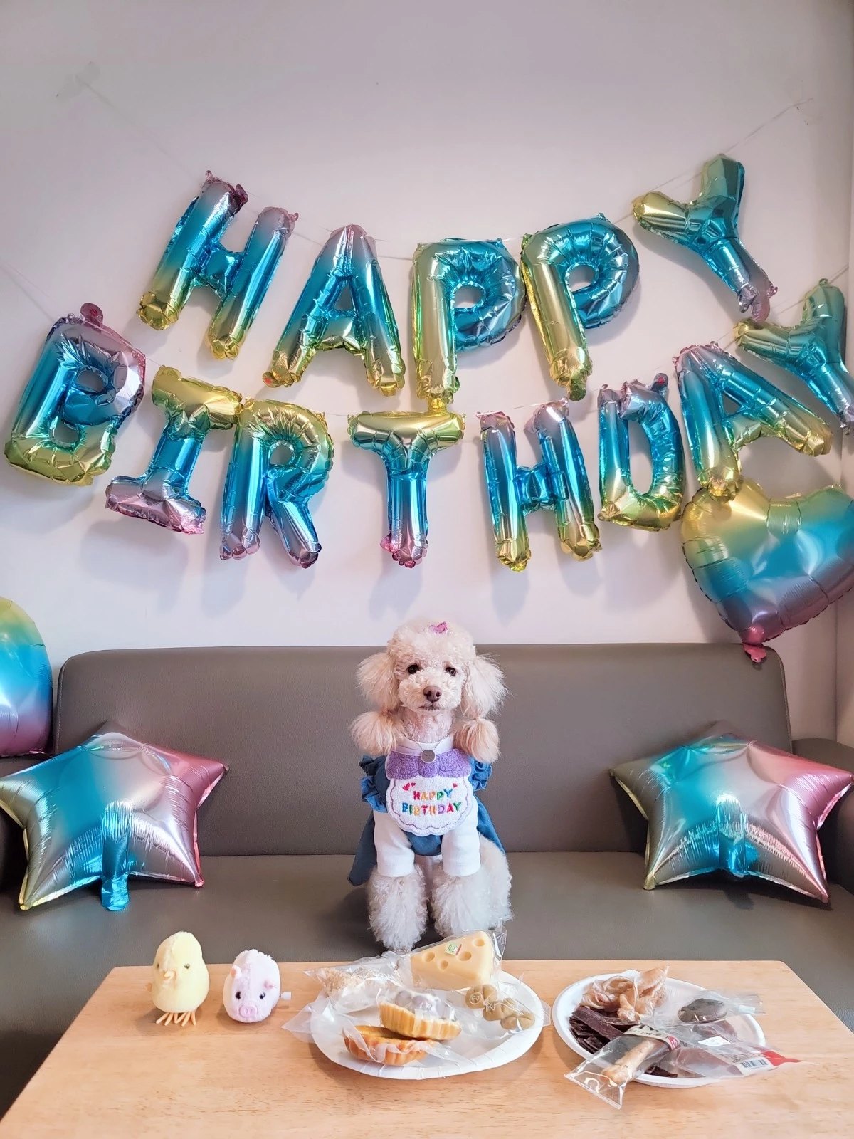 우리 초이랑 함께한 2년!!(곤지암-해삼)