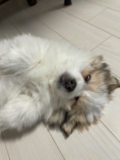 짱무 소식 전해드려요~