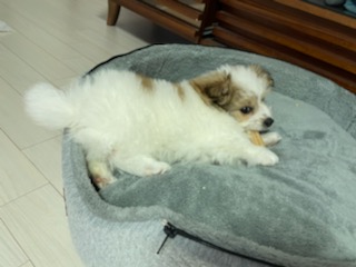 짱무 소식 전해드려요~