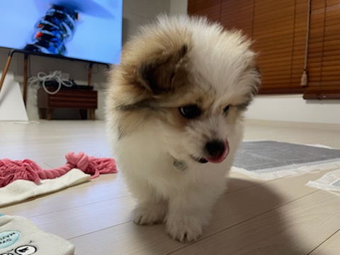 짱무 소식 전해드려요~