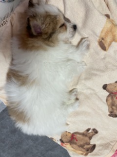 짱무 소식 전해드려요~