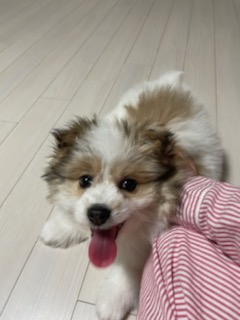 짱무 소식 전해드려요~