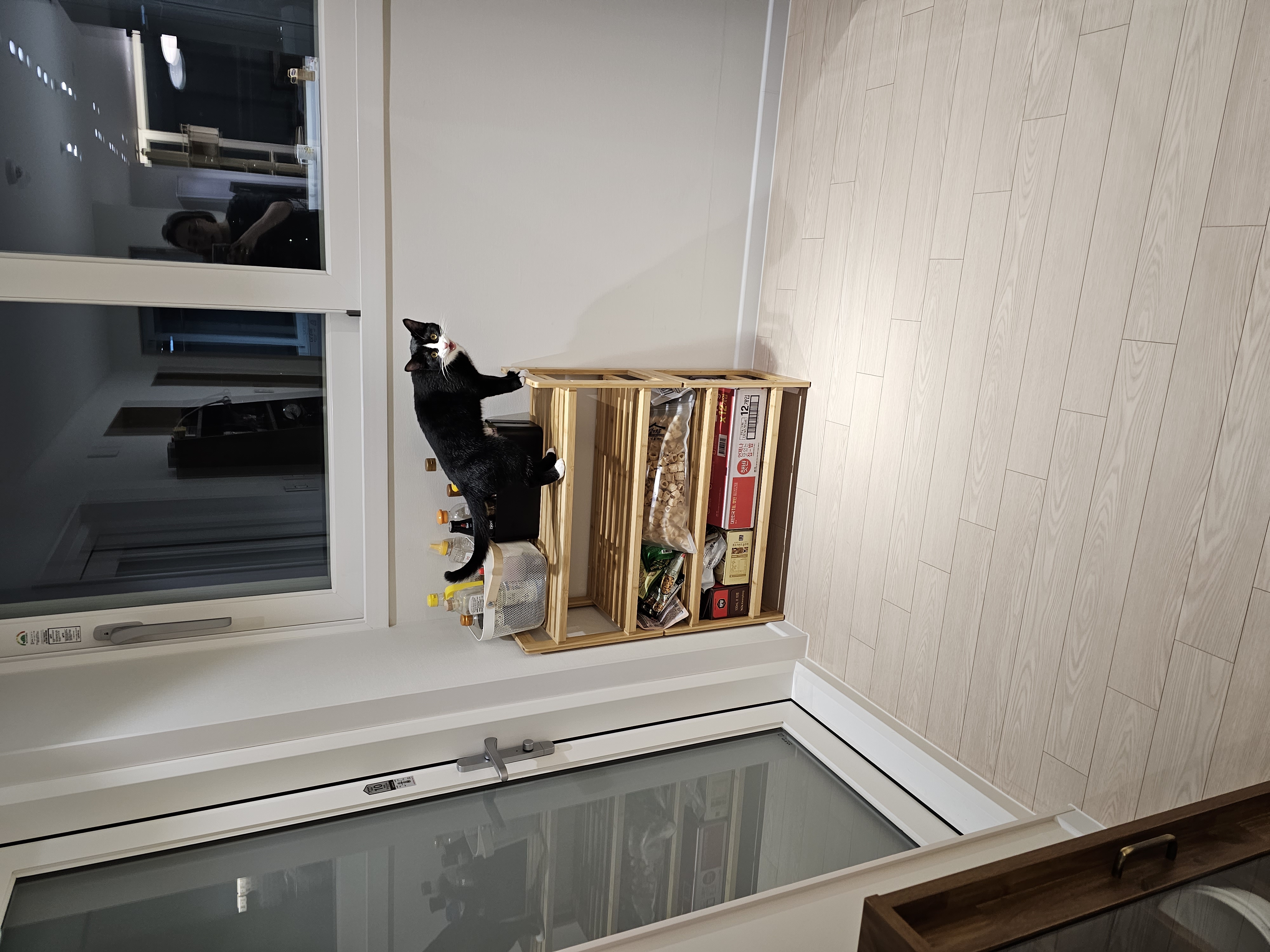 허밍이 입양 한달차