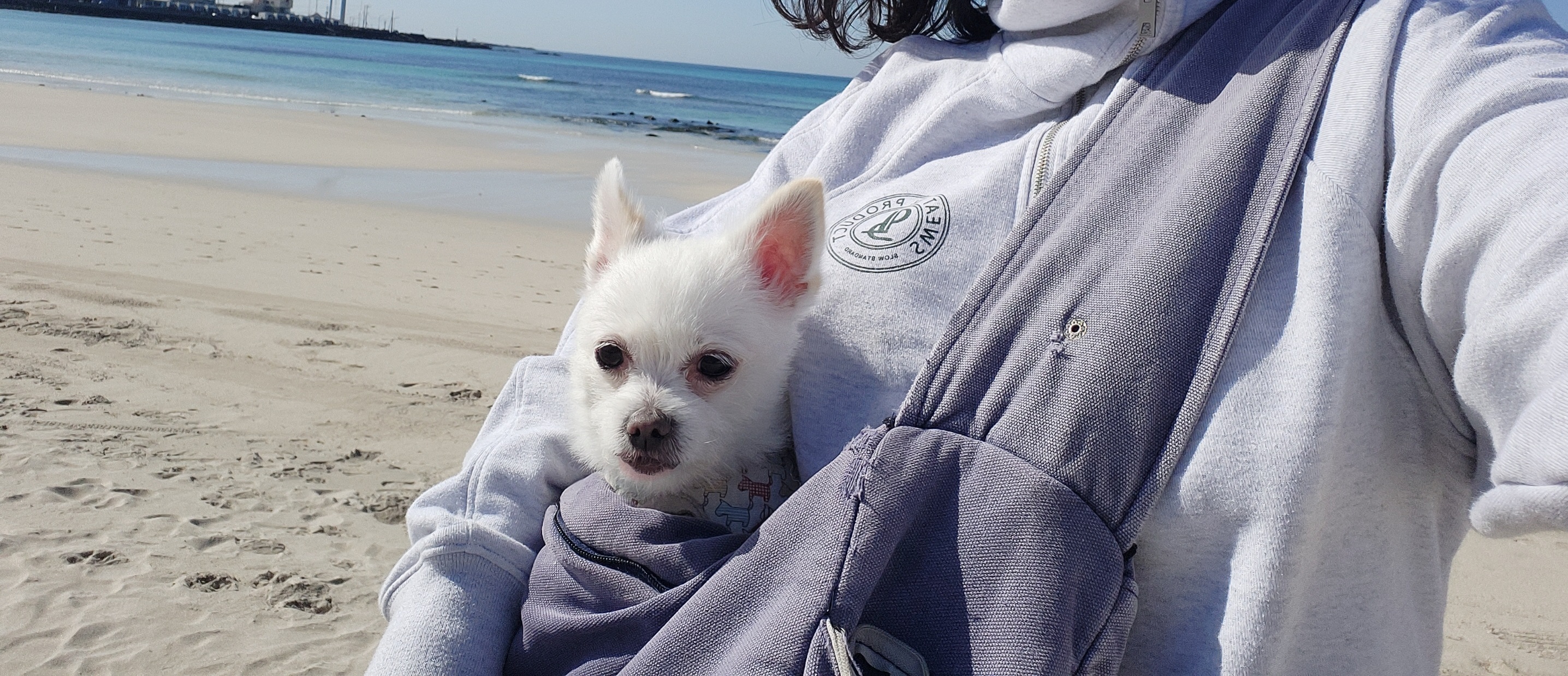 오투(현 설희)의 근황올려요(3달째 임보중)^^