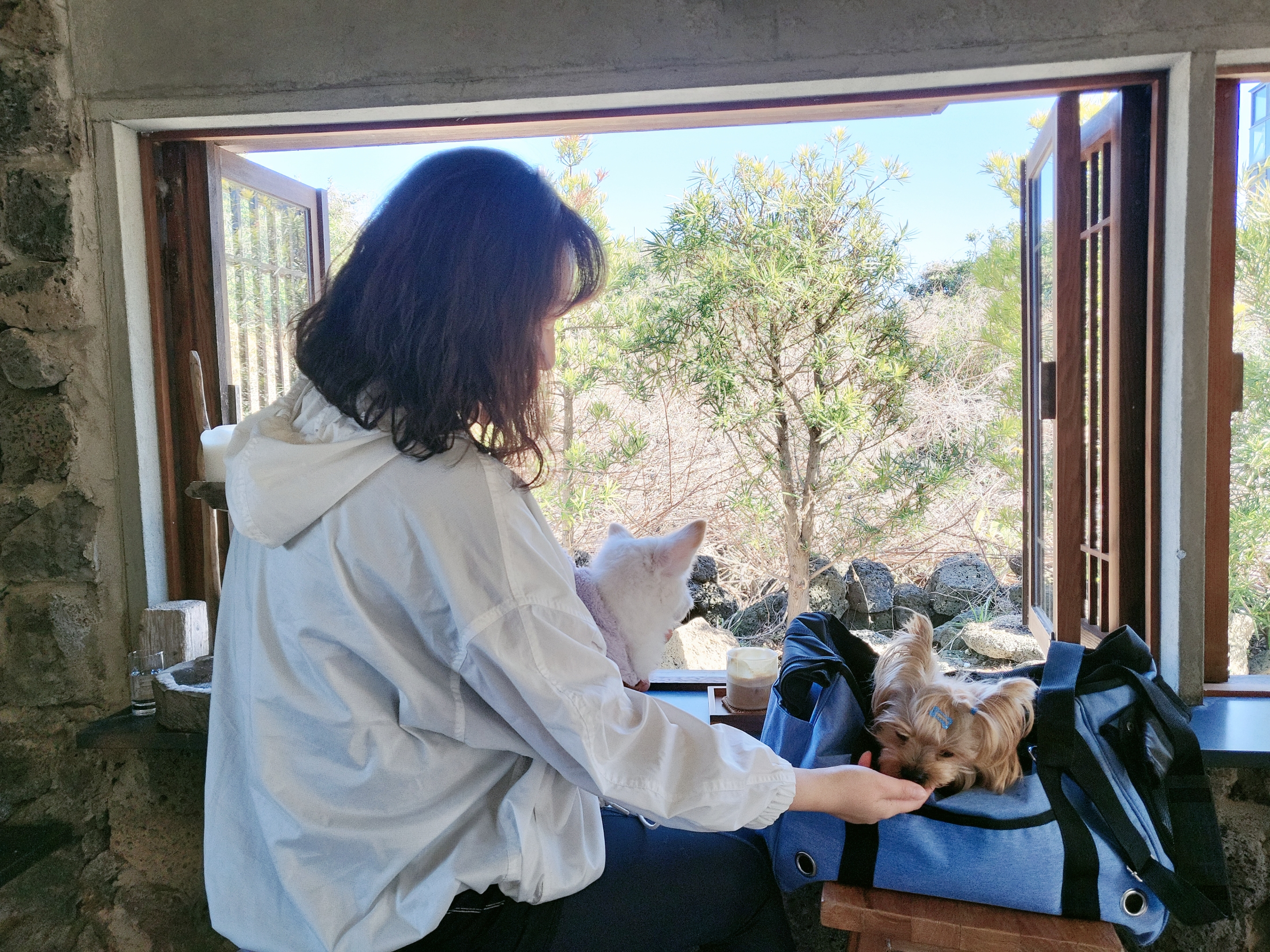 오투(현 설희)의 근황올려요(3달째 임보중)^^