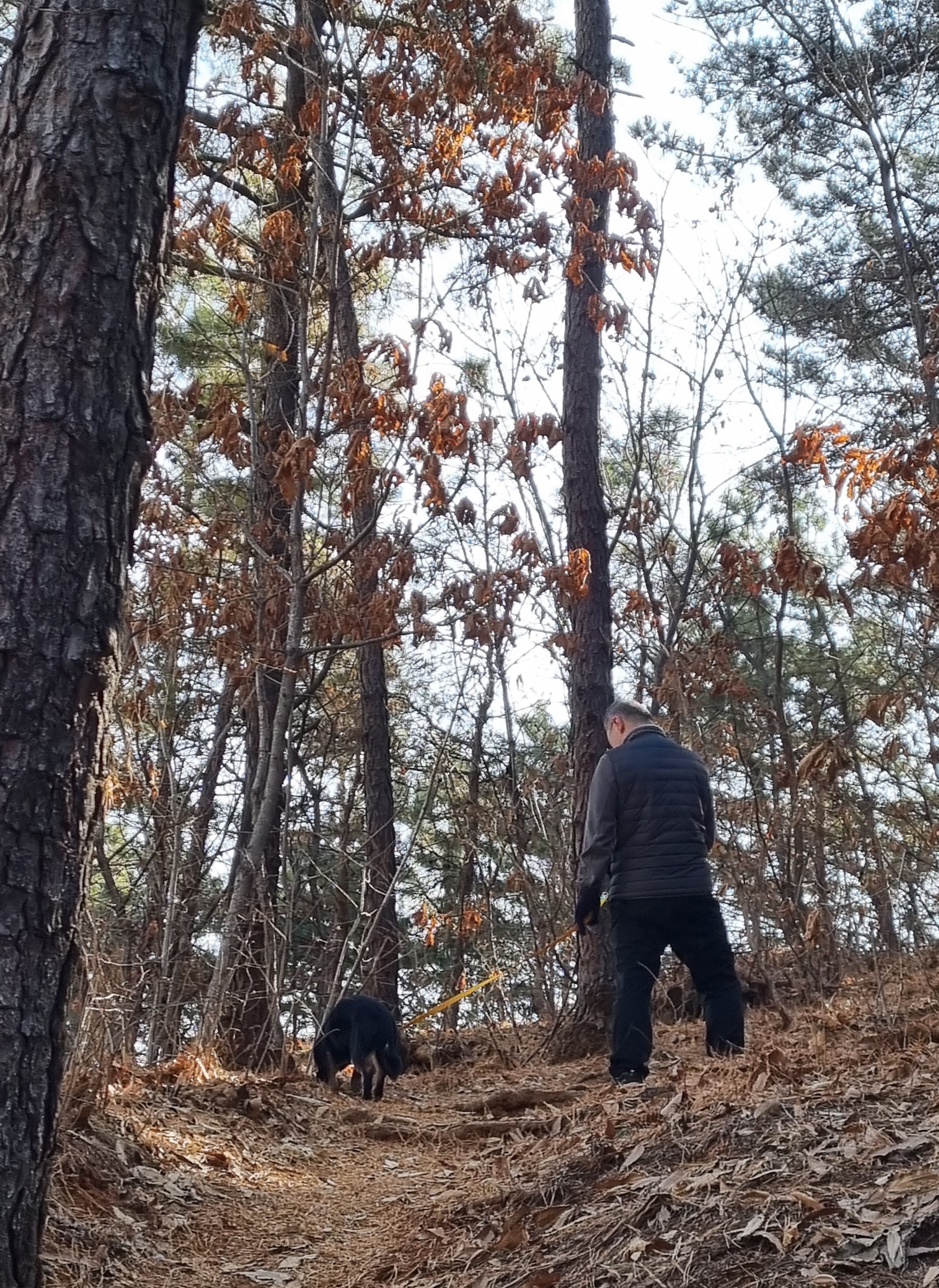 두양이 3개월차 후기입니다 
