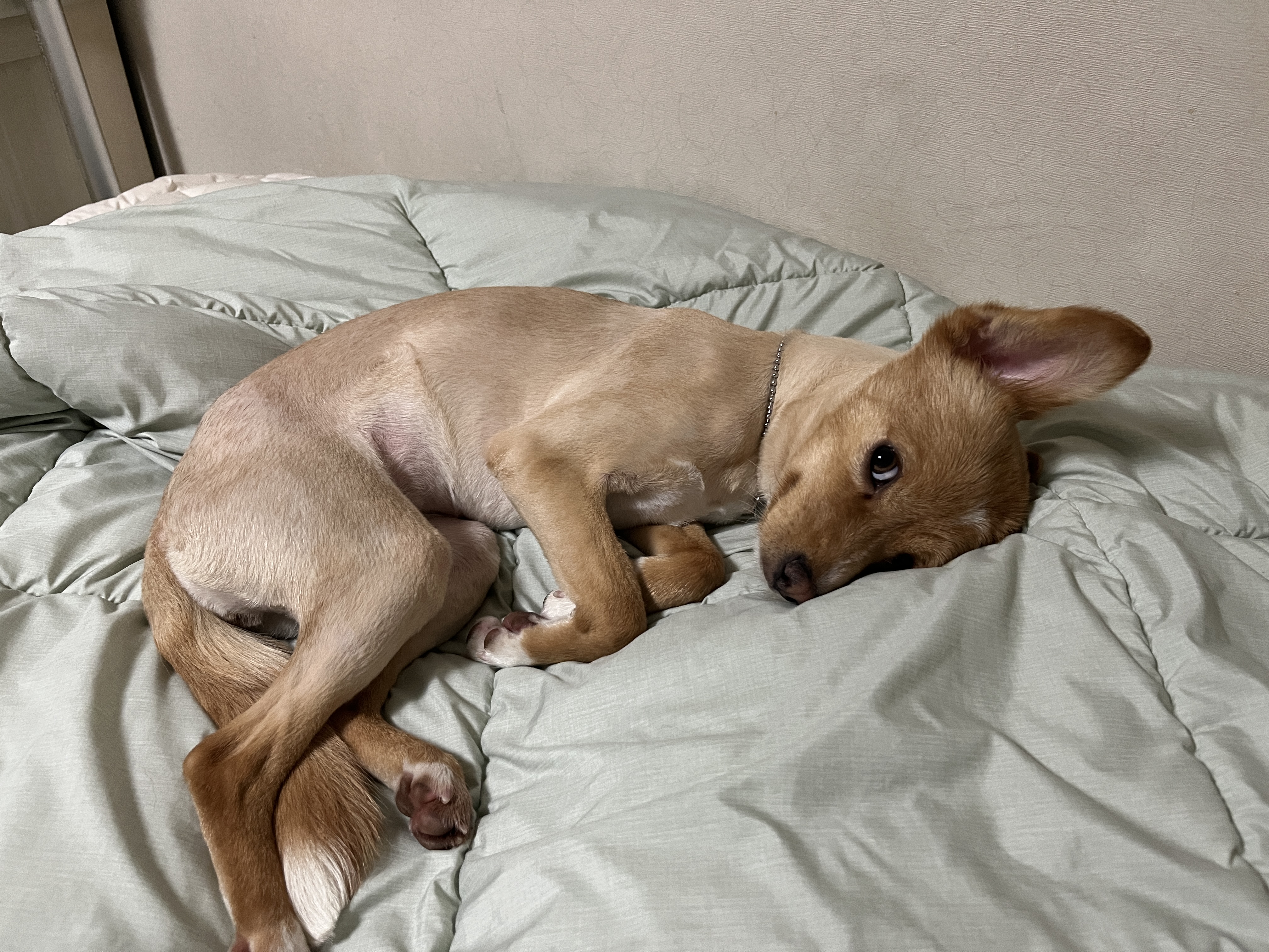 뽀또(이포)의 행복한 막내일기 <2>