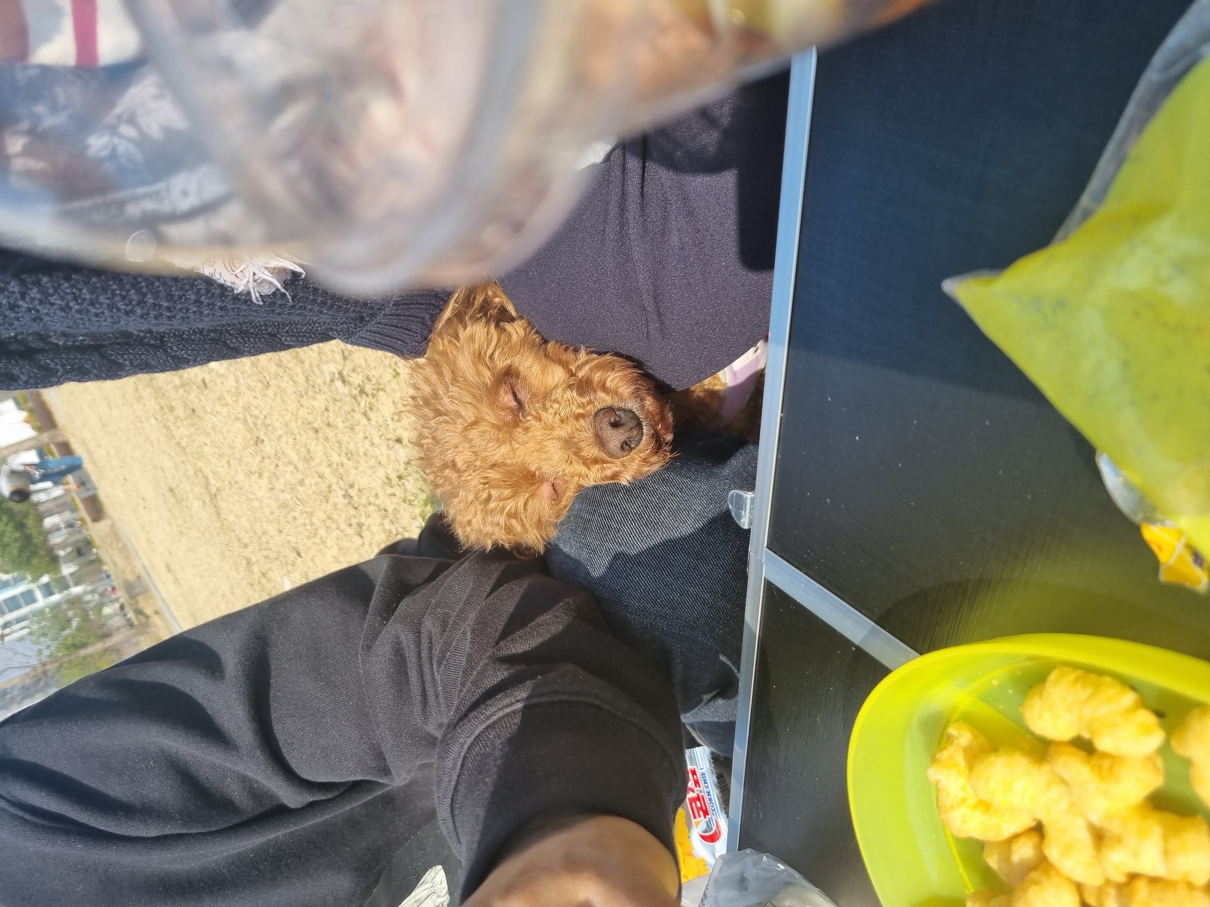 오영(임보)쿠키(곤지암  앙금) 이야기