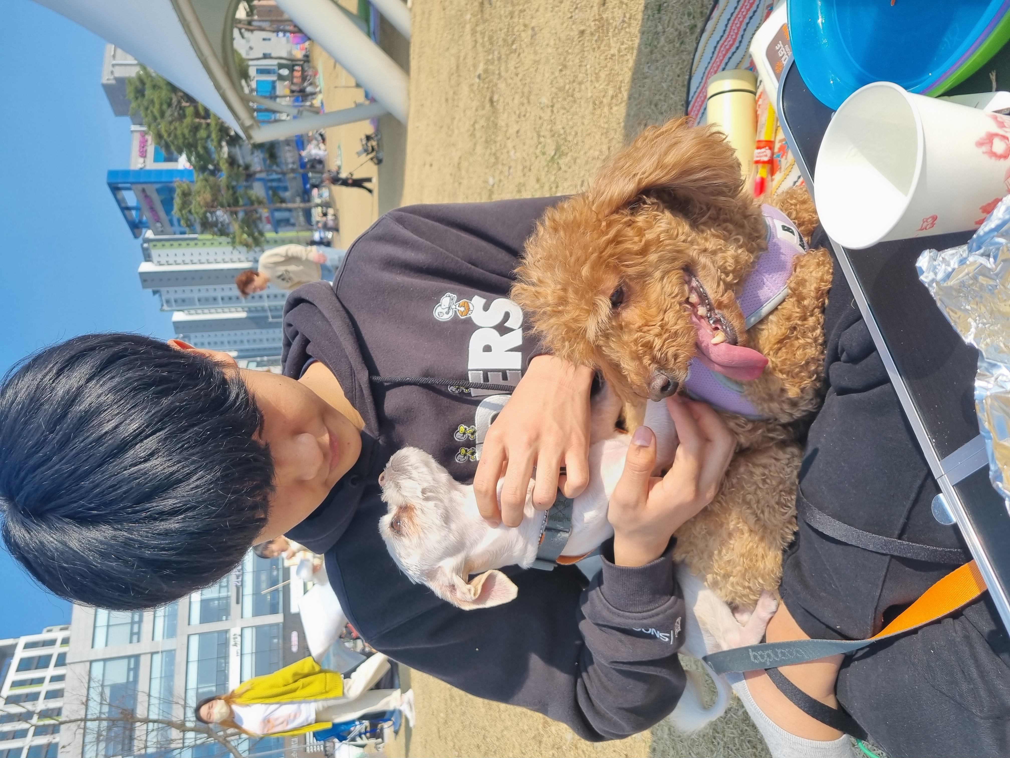 오영(임보)쿠키(곤지암  앙금) 이야기