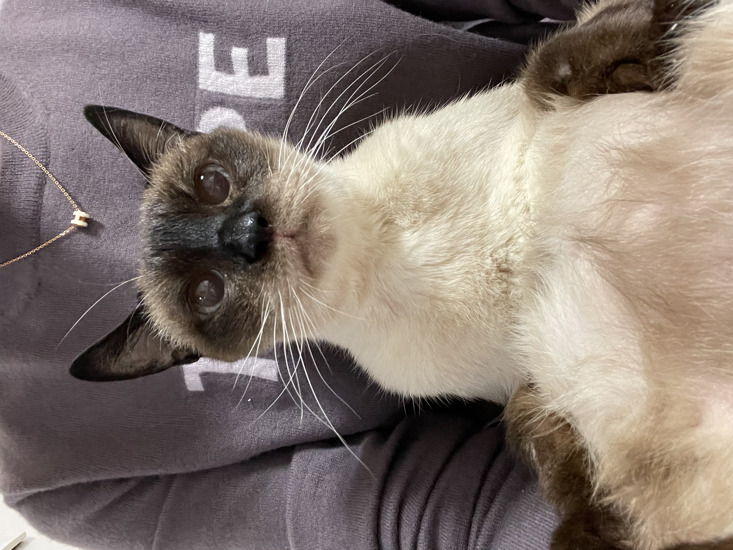 모델이 6주차 & 포도8개월 이야기