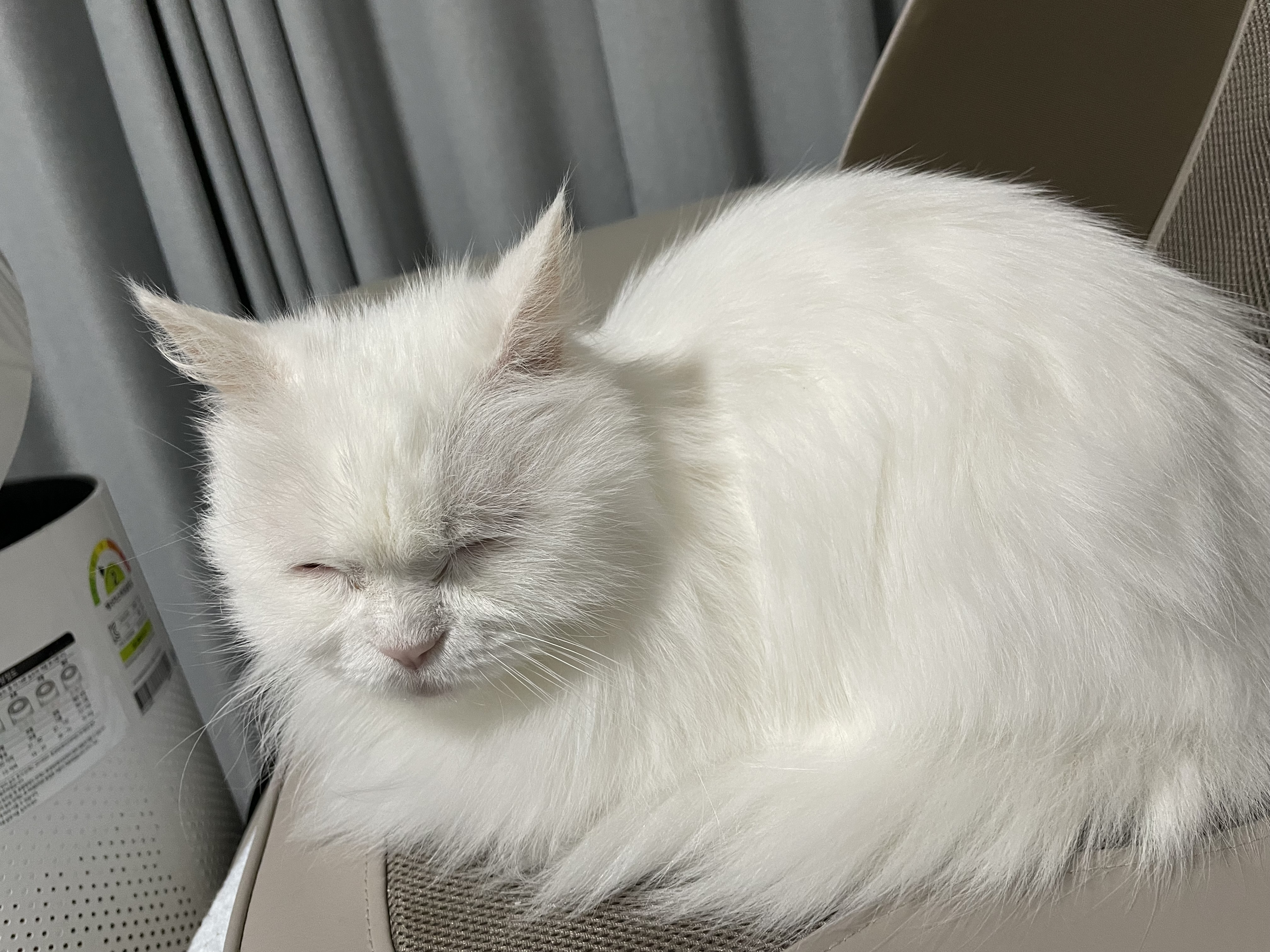 모델이 6주차 & 포도8개월 이야기