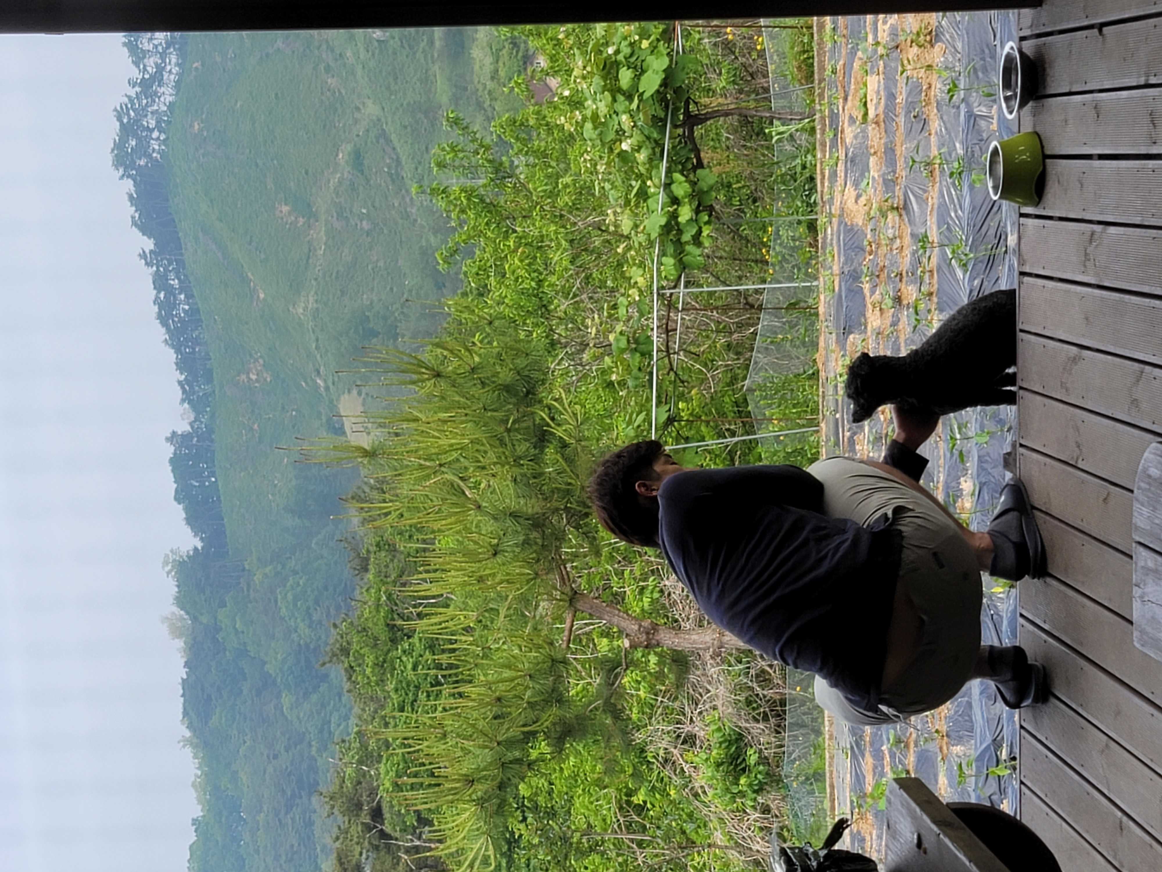 릴리(곤지암-12) 입양 2년차 후기