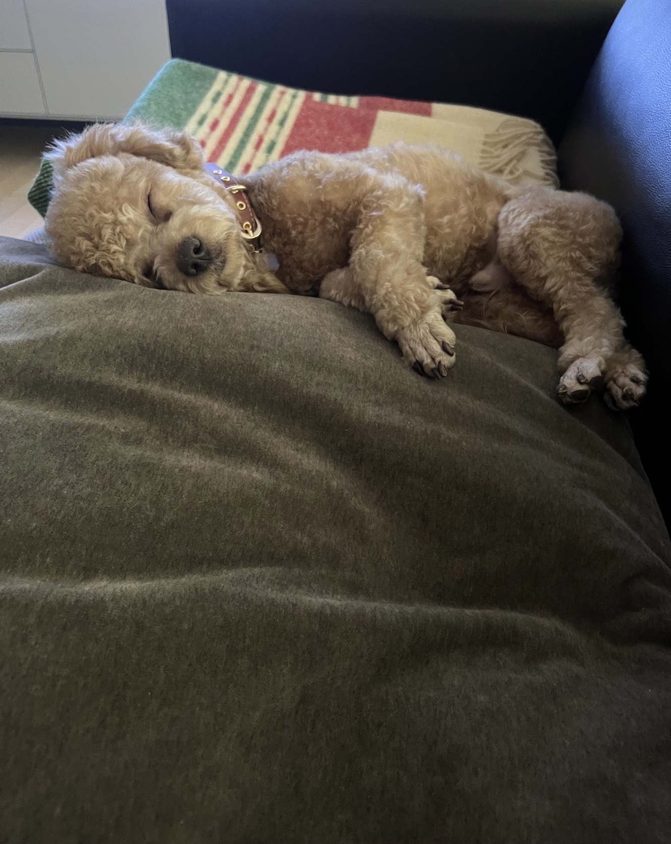 해리 이야기 1달