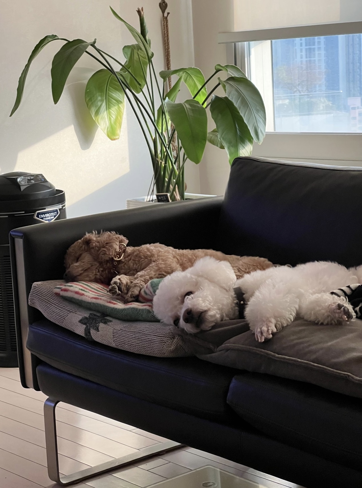 해리 이야기 1달