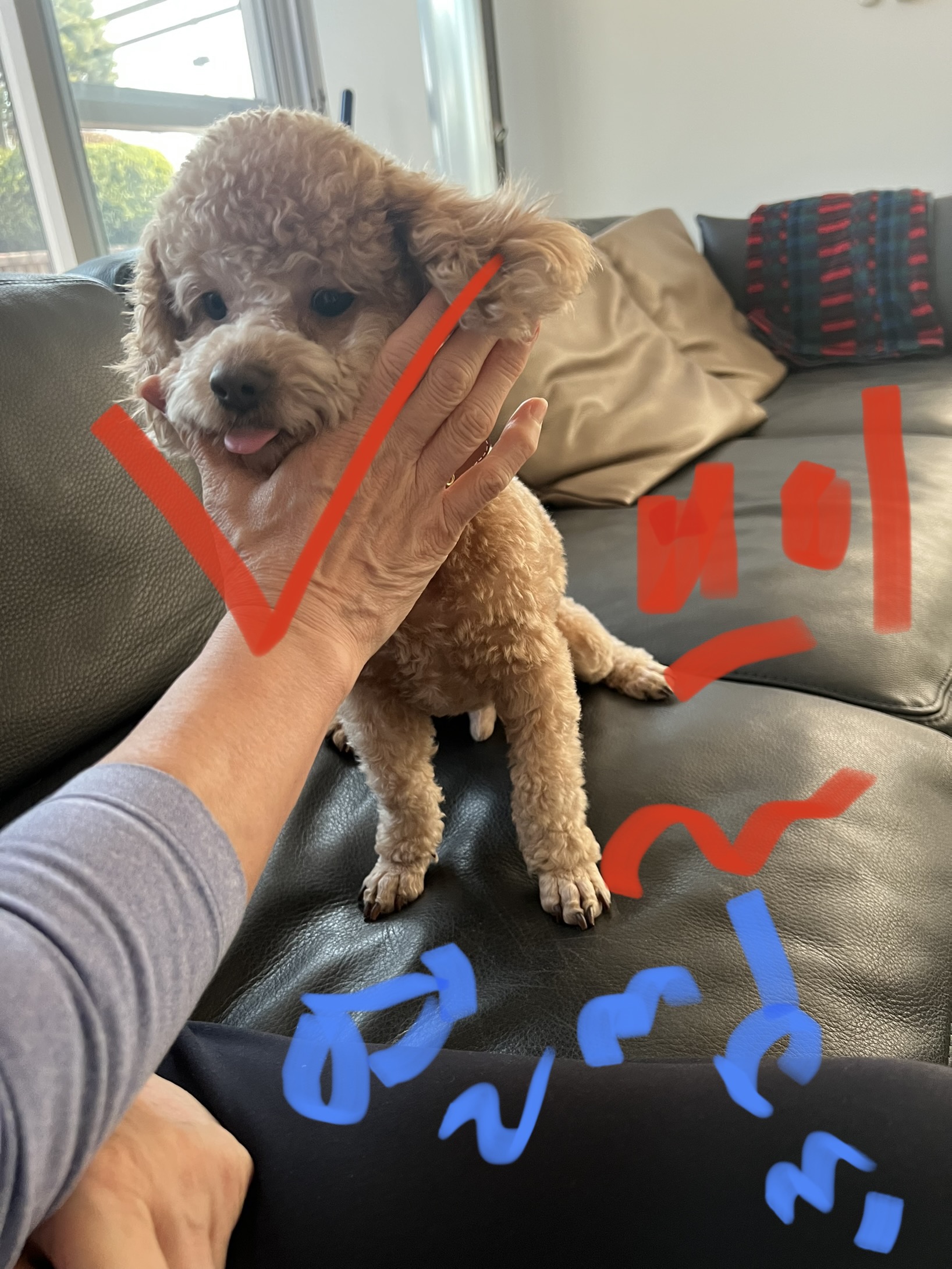 해리 이야기 1달