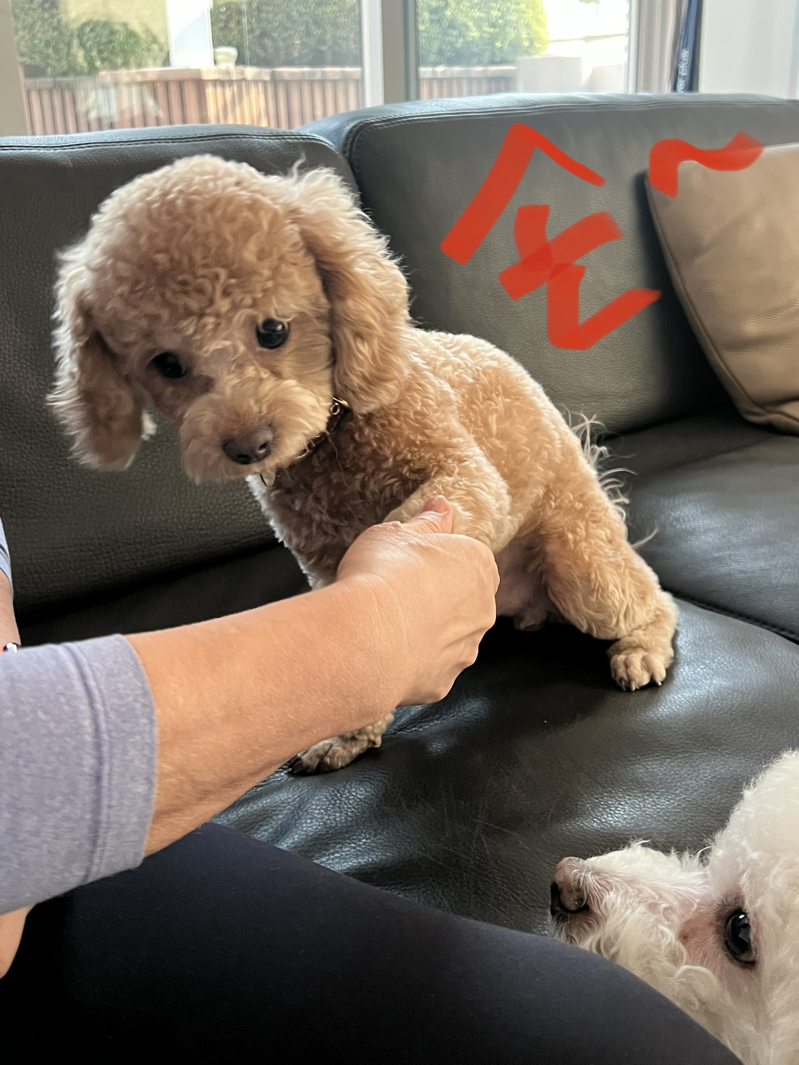 해리 이야기 1달