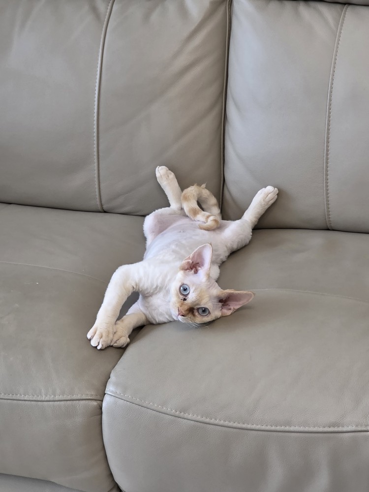 단하 3개월 간의 기록