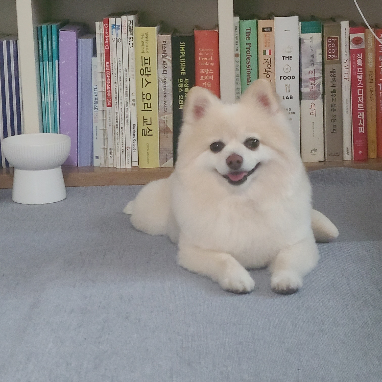 보배와 벌써2년!