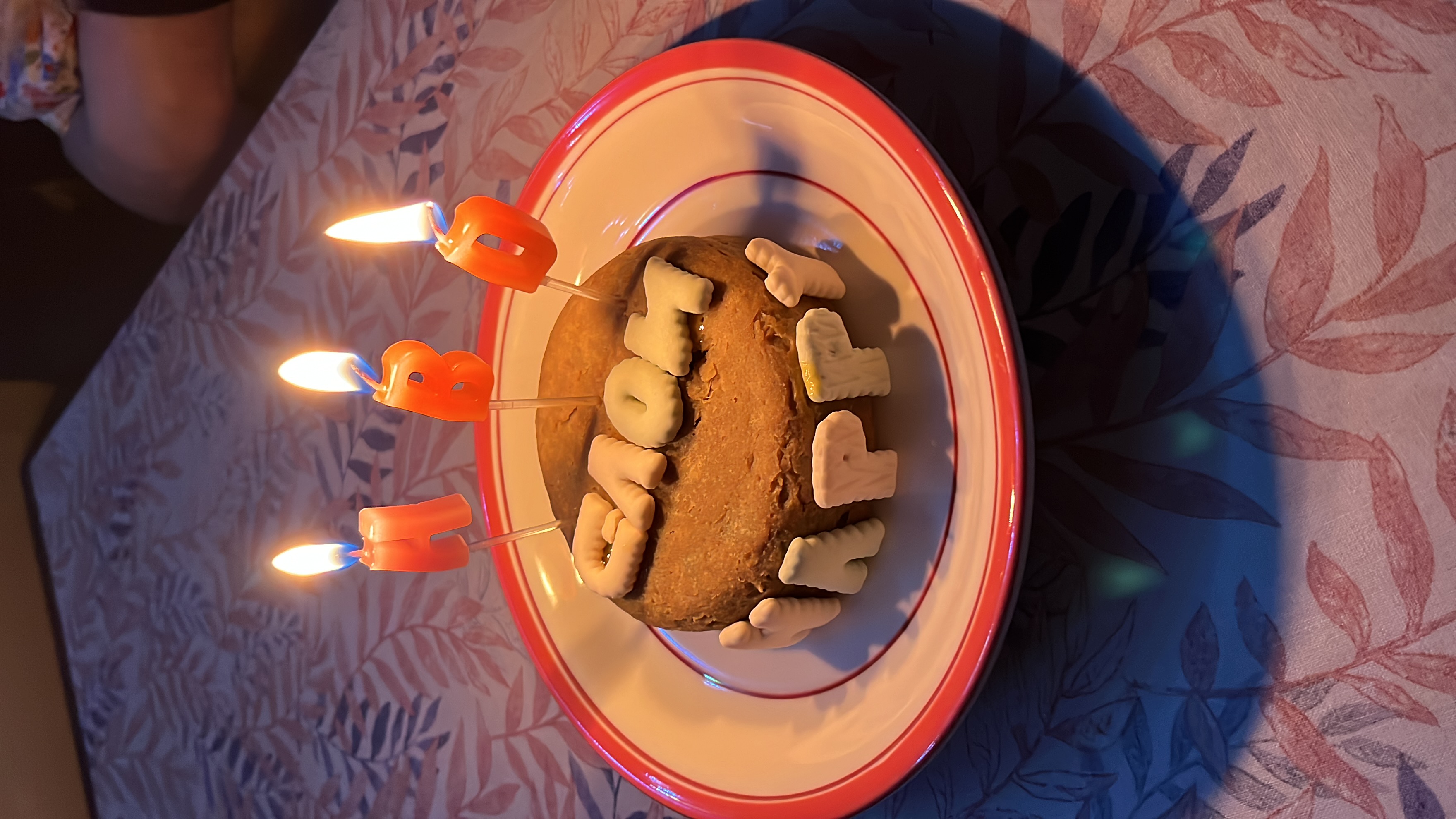 다온이(비비)와 1년