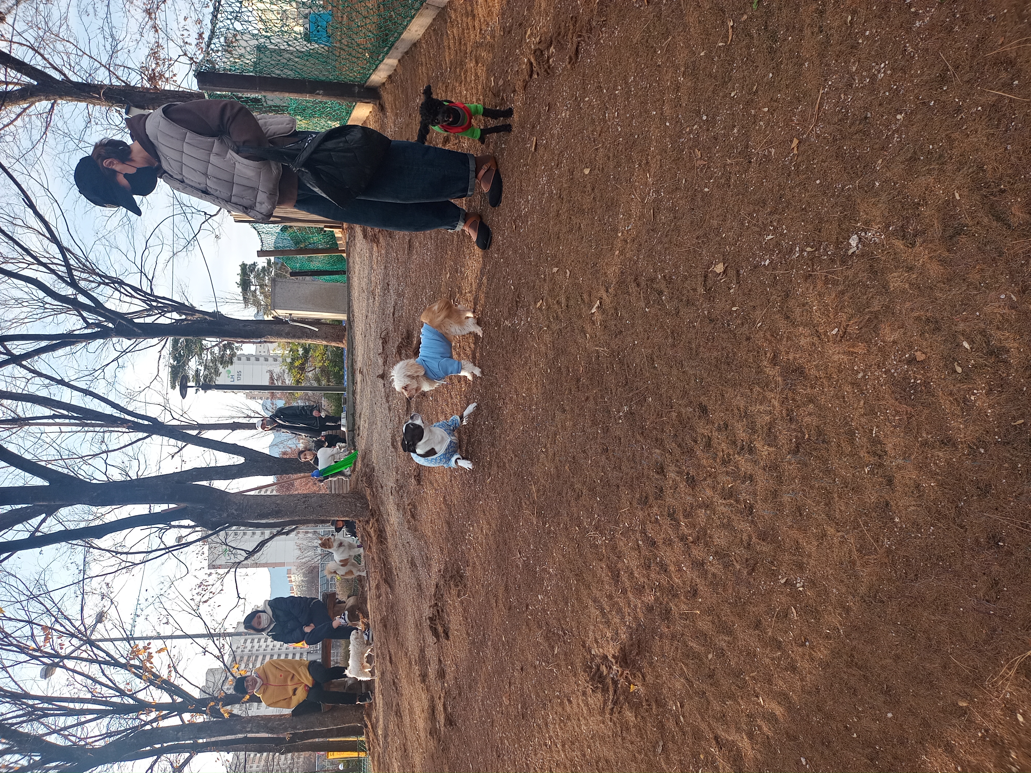 다온이(비비)와 1년