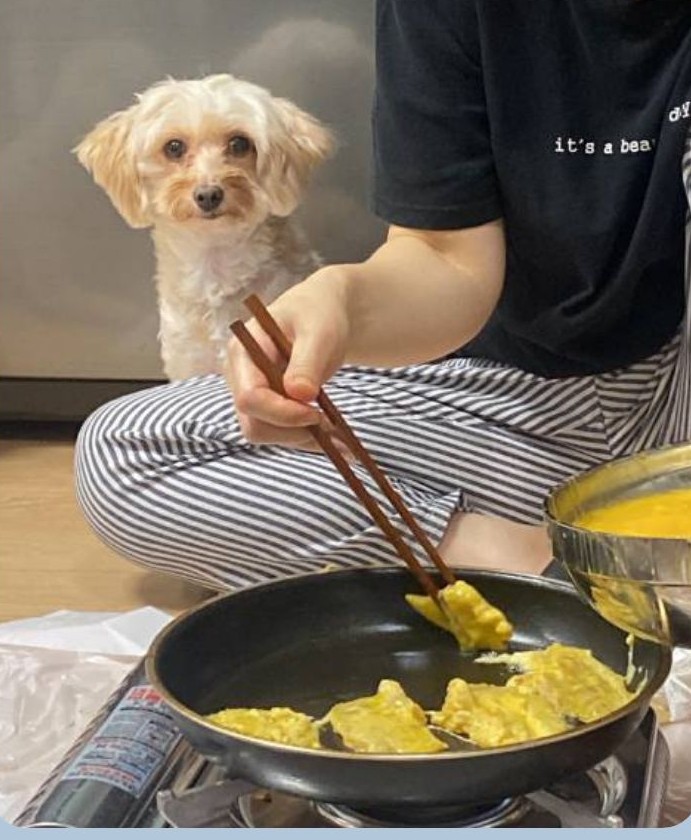 다온이(비비)와 1년