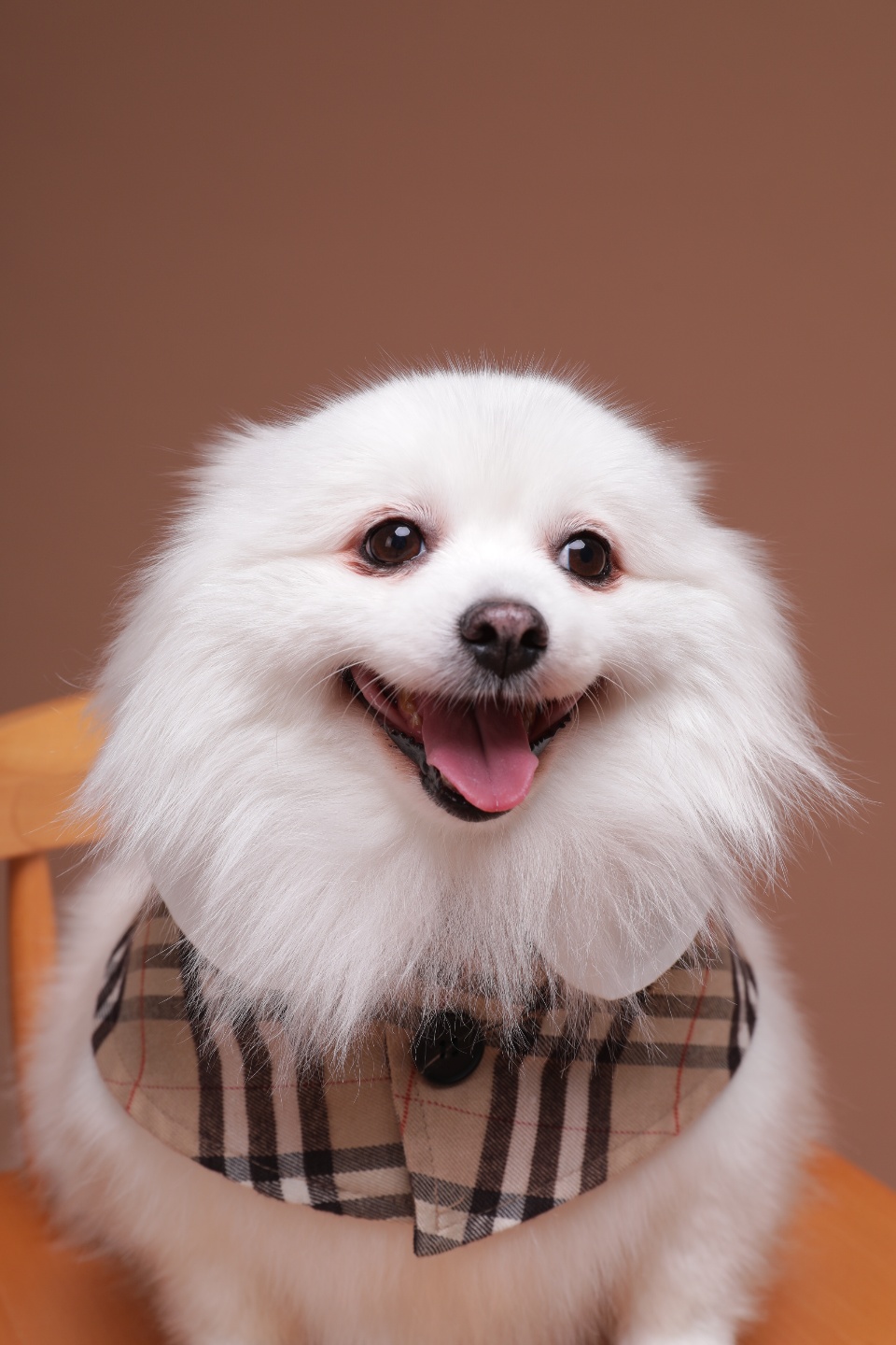 별이(구,영천꽃별이 )소식 알려드려요 ~