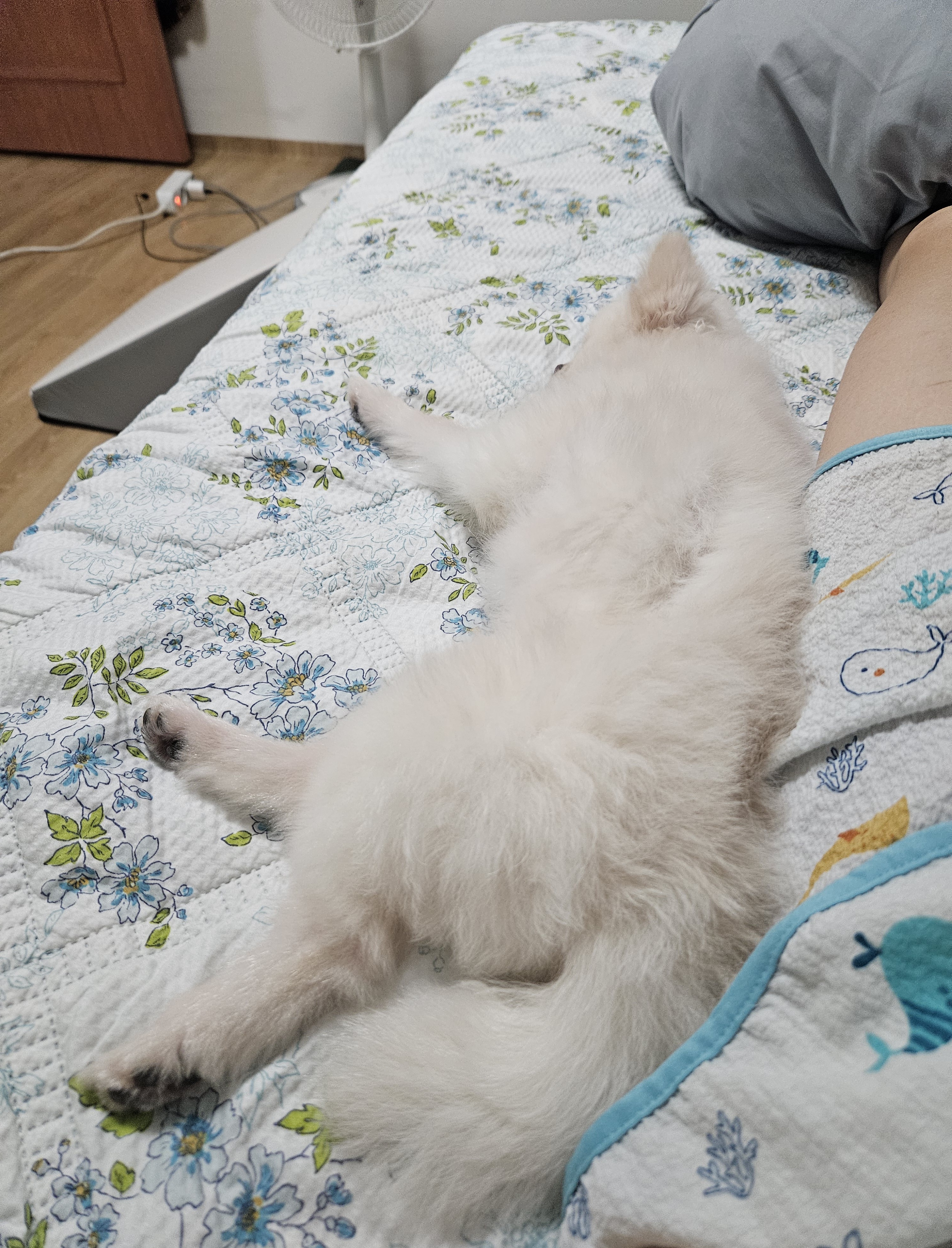 나루(구 빙봉) 일주차 후기